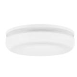 15 in. Adjustable CCT LED Ceiling Fixture