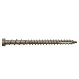 Trex 10 x 2-1/2-in Composite Deck Screws (350)