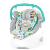 Bright Starts Baby Bouncer with Vibrations