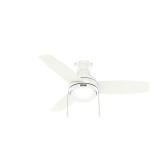 Betsy 44 in. Indoor Ceiling Fan with Light