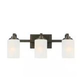 21 in. 3-Light Oil-Rubbed Bronze Vanity Light