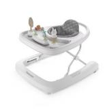 Ingenuity Step & Sprout 3-in-1 Walker