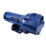 2 HP Cast Iron Lawn Irrigation Pump