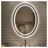 Oval Frameless Backlit LED Vanity Mirror
