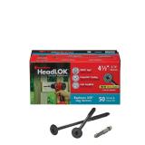 FastenMaster Headlok 4.5" Torx T30 Screws 50pk