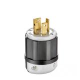 30A 125/250V Locking Plug, Black & White