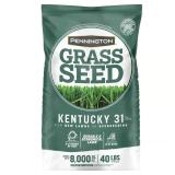 Pennington Kentucky 31 Tall Fescue Seed 40 lb