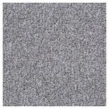 Dreamcatcher Dolphin Gray Carpet 12 ft 24 oz