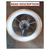 Ceiling fan