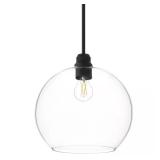 Florabelle 12 in. 1-Light Pendant Black Globe
