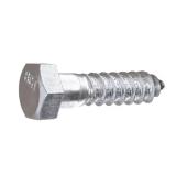 1/2 in. x 2 in. Zinc Plated Lag Screw