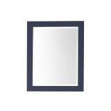 24 in. W x 30 in. H Wood Cabinet with Mirror