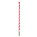 Milwaukee 1/2 in. x 12 in. Carbide Bit