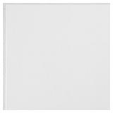 Washable White 1x1 Ceiling Tile (40 sf)