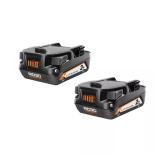 18V Compact Lithium-Ion Battery ( 2-Pack)