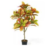 42 in. Topiary Croton Tree in Pot with Moss