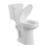 21 in. 2-Pc Toilet, 1.28 GPF, White