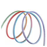 EcoSmart RGBWIC LED Strip Light