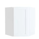 Courtland 24" Corner Cabinet - Polar White
