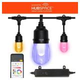 Smart Black 12 Light 24 ft LED String Light