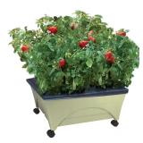 Sandstone Patio Garden Kit with Watering