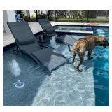 Patio Chaise Lounge Set with Table Included