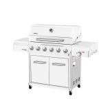 Gourmet Pro 6-Burner Propane Grill w/ Sear