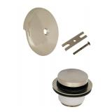 Danco 2-3/4 in Brushed Nickel Round Plate