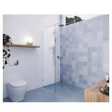 Vela Frameless Shower Door 21.5x78 (PN)