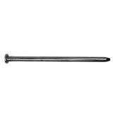 Hot Dipped Galvanized Spike Nail 150-Count