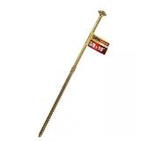 3/8 in. x 10 in. Star Drive Lag Screw