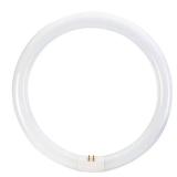 32W Equiv 12" Circline LED Bulb, Multi-CCT (1)