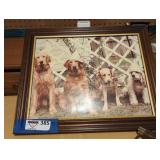 Photograph of Dogs