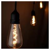 Hampton Bay 12-Light LED String Light, 24 ft