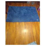 Blue Shag Area Rug.