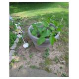 Garden Decor Lot with Planters and Watering Cans