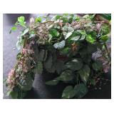 Decor Lot