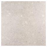 Rizzo 2.0 Gray Porcelain Tile 23.54" x 23.54"