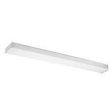 Drop Lens 48 in. W 2-Light Flushmount