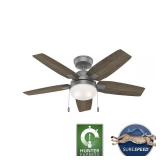 Hunter Antero 44in Indoor Fan with Light