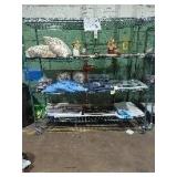 Rack Lot Dollar General Items, Rack Not Included
