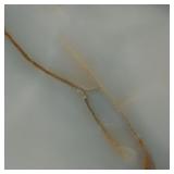 Splendor 24x48 Lappato Porcelain Tile (2pc)