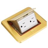 NEWHOUSE Pop-Up Floor Outlet 15A Brass