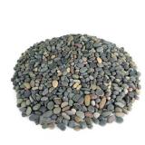 .25 cu ft 3/8 in Mixed Mexican Beach Pebbles