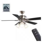 Riley 44 in Indoor LED Ceiling Fan w/ Light