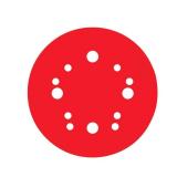 Diablo 5 in. Ceramic Sanding Disc 220G 15pk