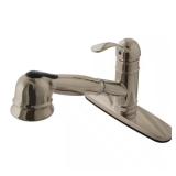 Eden Single-Handle Pull-Out Kitchen Faucet BN
