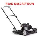 Briggs & Stratton 20 in. Gas Push Lawn Mower