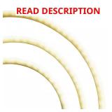 EcoSmart 16.4 ft LED Outdoor Rope Light