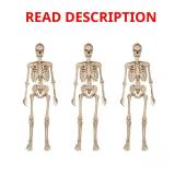 3-Pack 5 ft Grave & Bones Poseable Skeleton
